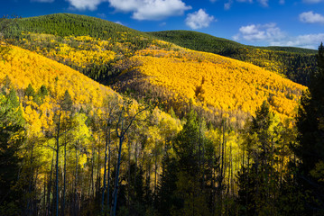 Aspen Vista Overlook