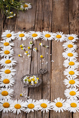 Obraz premium Dried chamomile tea in a vintage tea strainer. Frame from flowers of daisies.selective focus