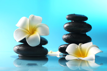 Plumeria flowers and pebbles on water against blue background