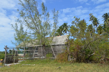 Fototapeta na wymiar Cabana no mangue