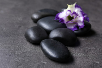 Fototapeta na wymiar Pebbles with beautiful flower on dark grey background