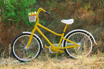 Fototapeta na wymiar Basket of juicy fruits on bike, outdoors