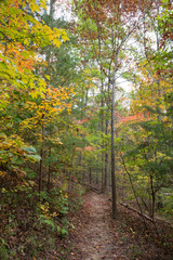 Autumn Hiking Trail