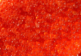 red  caviar, macro shot , focus on a center