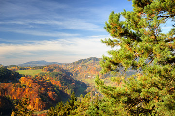 Fototapeta na wymiar Vibrant colorful autumn landscape in daylight