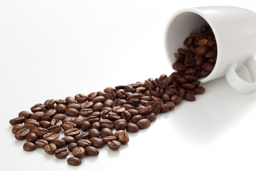 コーヒー豆