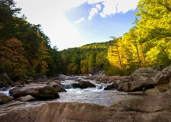 Fotobehang A bright and sunny day at designated wild and scenic river in western North Carolina called Wilson Creek.  © skiserge1