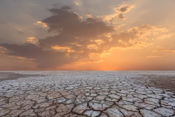 Foto op Plexiglas Soil drought cracked landscape sunset © yotrakbutda
