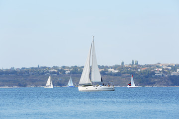 Obraz premium Sailing yachts regatta