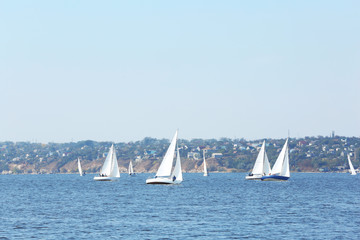 Naklejka premium Sailing yachts regatta