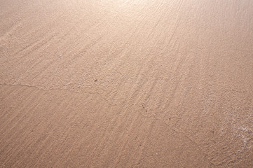 Sand Texture