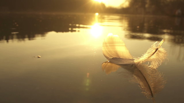 REVERSED: floating feather