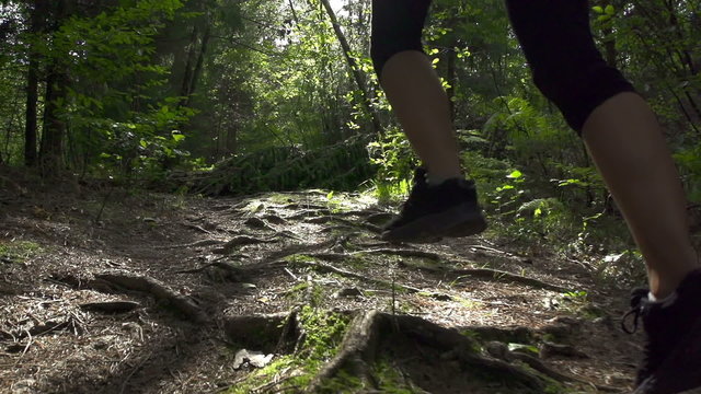 SLOW MOTION: Young couple jogging through the forest