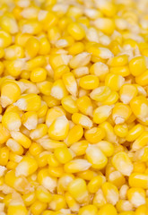 Ripe corn seed.
