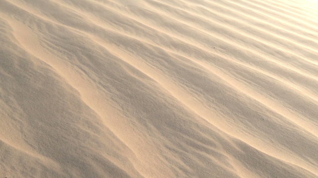 Windy desert