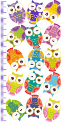 colorful owls Children height meter wall sticker, kids measure, Growth Chart. Vector