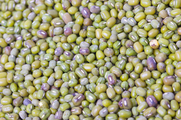 Green mung beans texture background.