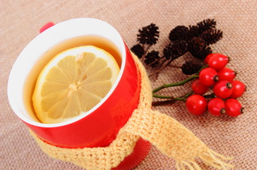 Cup of tea with lemon wrapped woolen scarf and autumn decoration