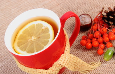 Cup of tea with lemon wrapped woolen scarf and autumn decoration