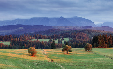 Landscape in Pieniny, Slovakia