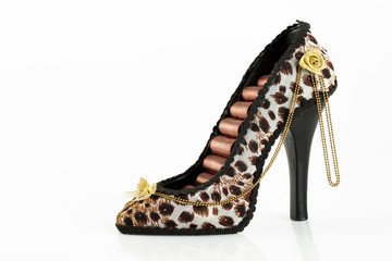 Jewelry shoe set isolated on white