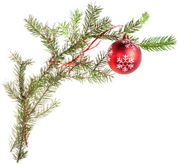 twig of fir tree with cone and red ball
