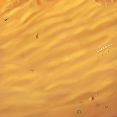 Desert - Scene Design
