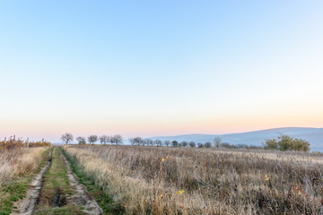 Obraz premium Autumn landscape at dusk