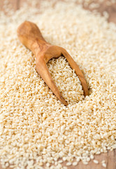 sesame seeds in a wooden scoop