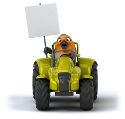 Fototapeta premium Fun red robin