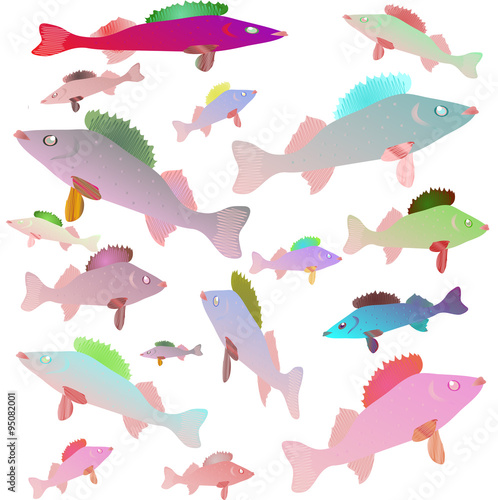 "A lot of colorful fish" Stock image and royalty-free vector files on Fotolia.com - Pic 95082001