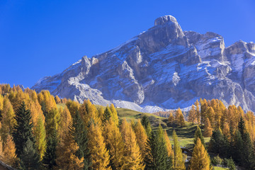 唐松の紅葉美しい秋のドロミテ地方