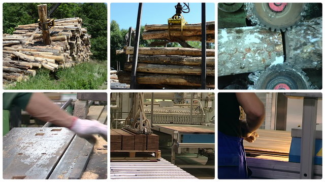 Timber and lumber industry. Tree log transportation. Floor parquet wood board production in factory. Montage of video clips collage. Split screen. White round corner frame. Full HD 1080p.
