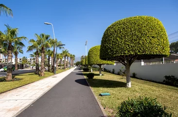 Rolgordijnen Las Americas street. Tenerife, Canary Islands. Spain © Alex Tihonov