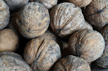 walnuts in shell  
