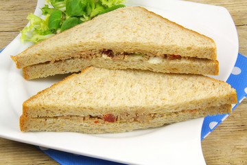 sandwich 04112015