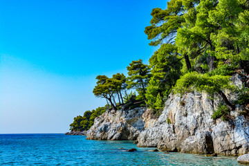 Shore of a beautiful Greek island, Skopelos - obrazy, fototapety, plakaty