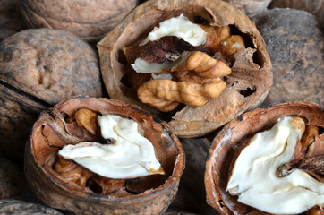 core walnut in the form of heart on the background of walnuts in shell  

