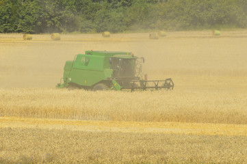 Obraz premium Combine the field