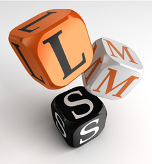 LMS Learning Management System acronym orange black dice blocks
