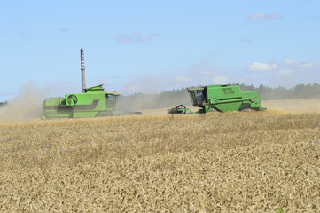 Fototapeta premium Combine the field