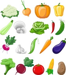 Cartoon vegetables