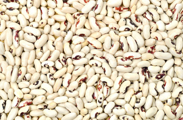 White beans background