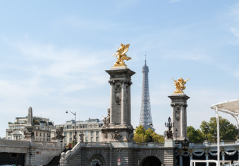 Fototapeta na wymiar Alexandre III bridge in Paris, France