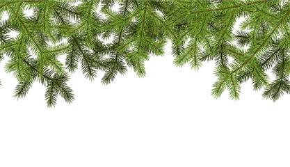 Background with fir branches.