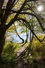 B&auml;ume und See in der Herbststonne
