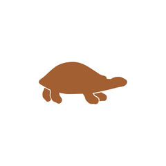 Icon turtle.