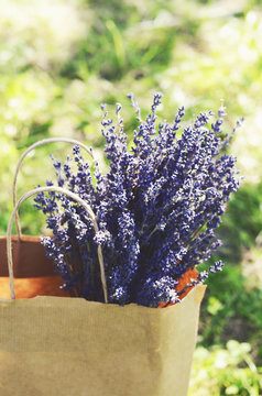 Bunch of dried lavender in craft shopping bag