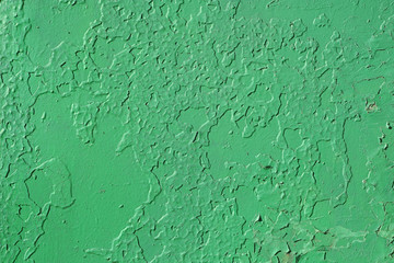 Old wall. The texture of the old shabby wall in green.