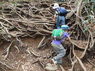 山登りを楽しむ子ども達　家族